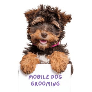 A picture of a little brown dog holding a sign that says mobile dog grooming