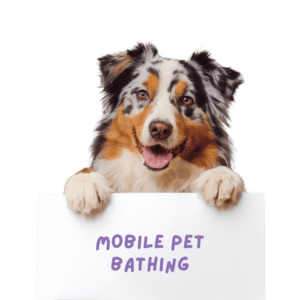 A picture of an Australian shepherd dog holding a sign that says mobile pet bathing