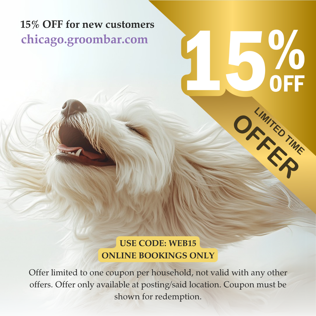 Promotional graphic for GROOMBAR offering 15% off for new customers, limited time offer. The image features a joyful white dog with flowing hair against a light background. A large gold ribbon displays “15% OFF” with “LIMITED TIME OFFER.” Text includes “chicago.groombar.com” and notes that the offer is for online bookings only, one coupon per household, and must be shown for redemption.